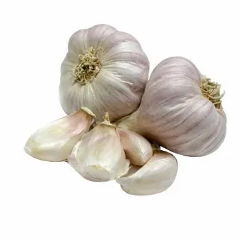 Fresh Garlic 